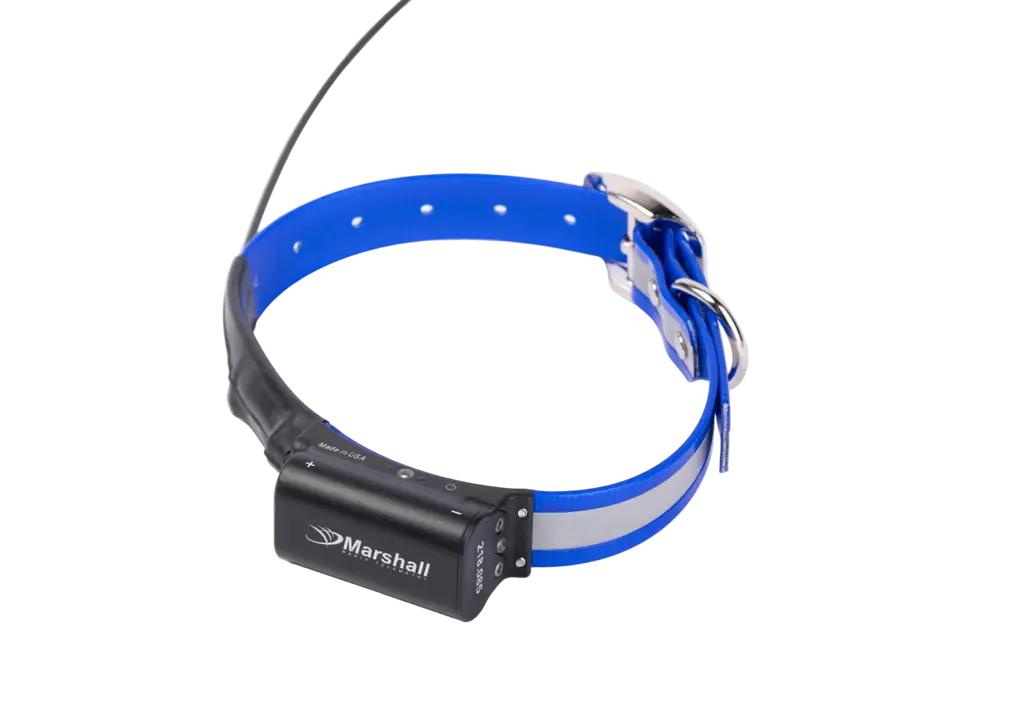 Dog Tracking Device