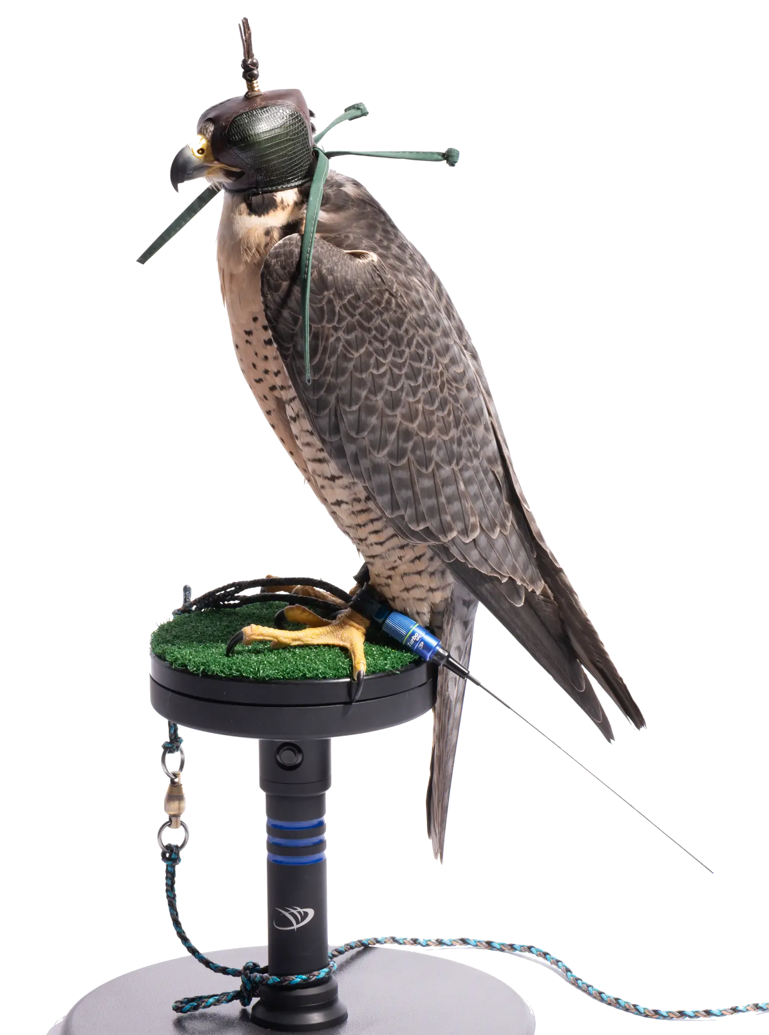 Turbo GPS Transmitter